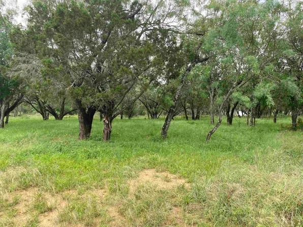 TBD Driftwood Lane, Cottonwood Shores, TX 78657