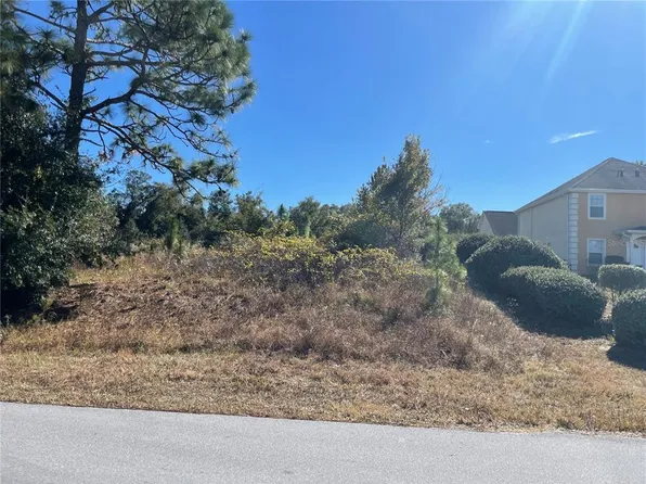 Juniper Pass Lot 8, Ocala, FL 34480