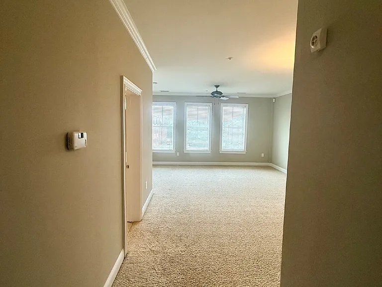 325 Hay St #306 — Photo 3