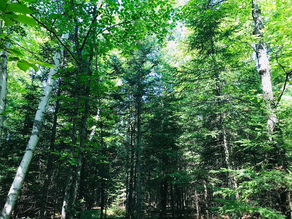 2nd image of Lot 18 W CARPENTER LAKE RD