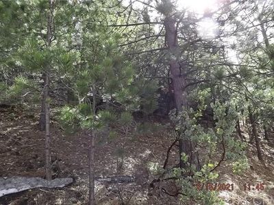 0 Spruce Ave, Angelus Oaks, CA, 92305
