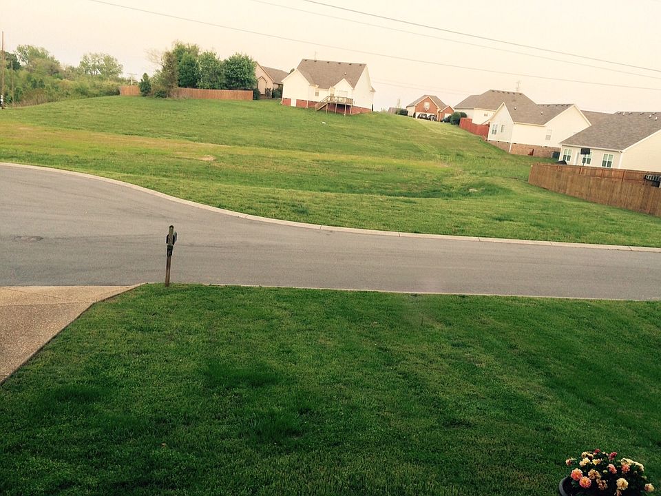 View From Front Porch