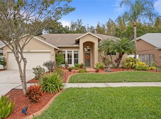 13505 Ironton Dr, Tampa, FL 33626