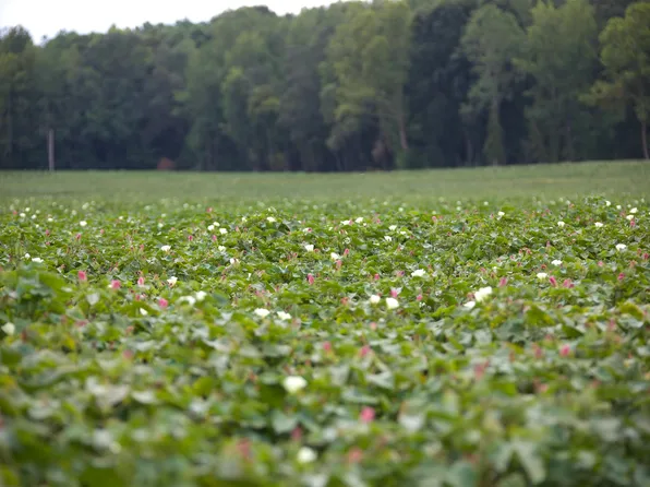 23500 Tennessee St #125, Bolivar, TN 38008