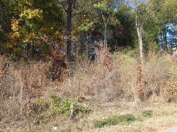 5th image of 0 Jackson Dr Lot 8