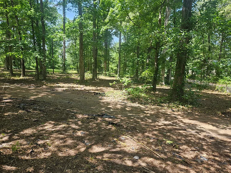 269 County Road 2206 — Photo 3
