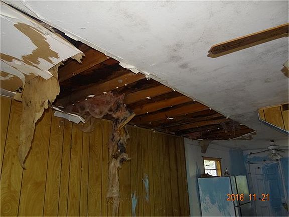 5th image of 10 Daniels St