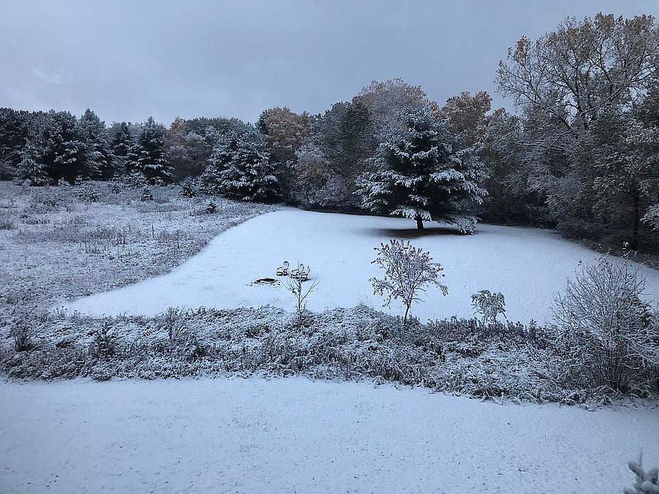 Field/ backyard 