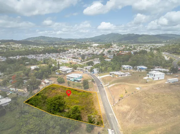 Calle B Praderas De La Plata Parc D #18, Cayey, PR 00736