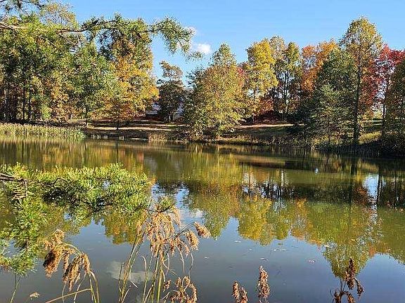 2nd image of 515 Wilderness Way Lot 515