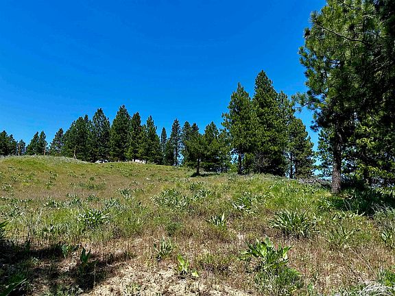 5th image of Aspen Ridge Rd