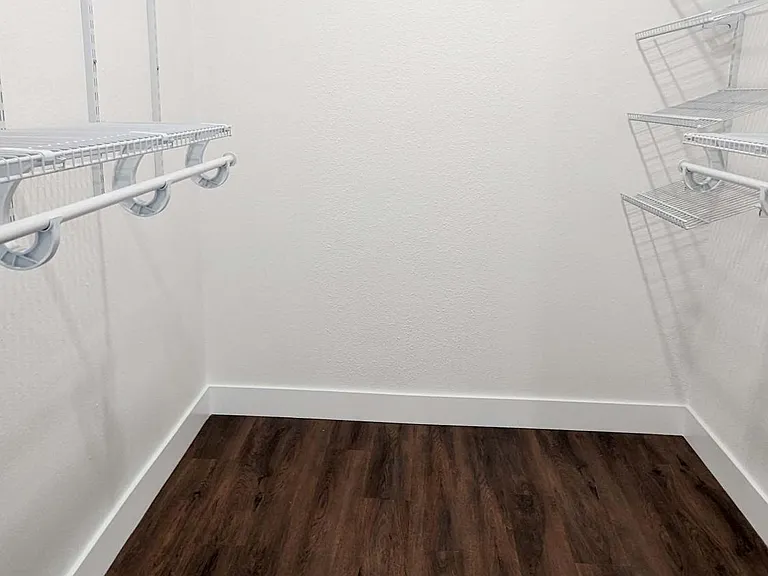 Primary Closet