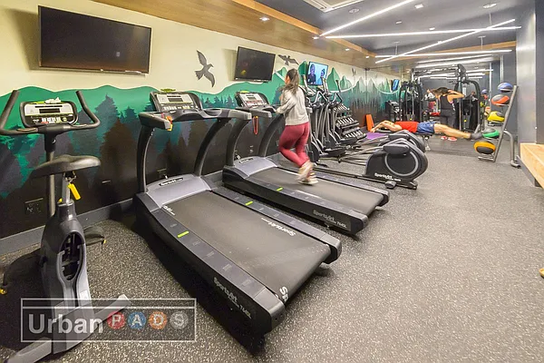 Rented by Urban Pads | media 72