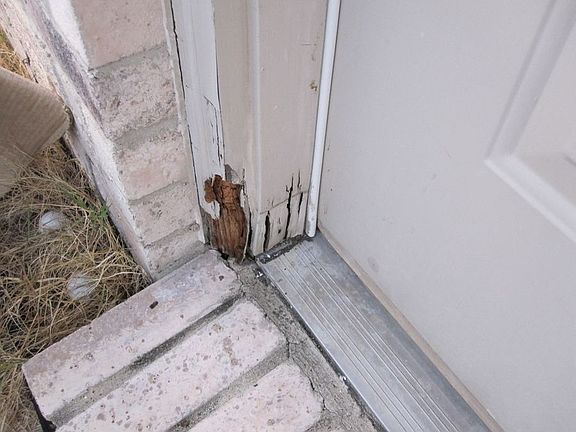 back door needs repair