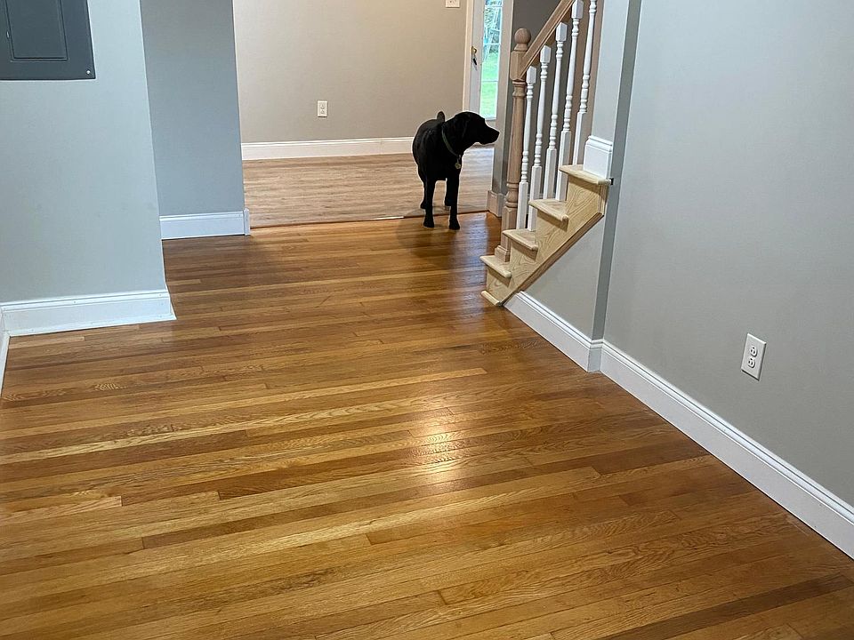 Dog not included :)