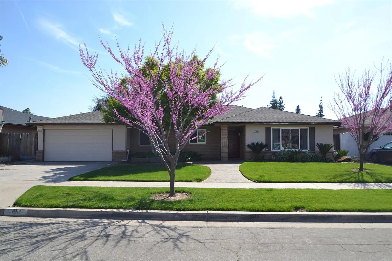 1461 W Millbrae Ave photo 1