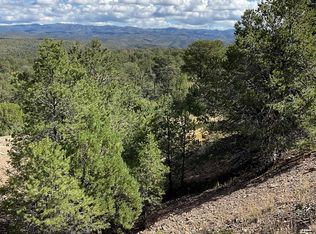 7 Georgetown Rd, Hanover, NM 88041