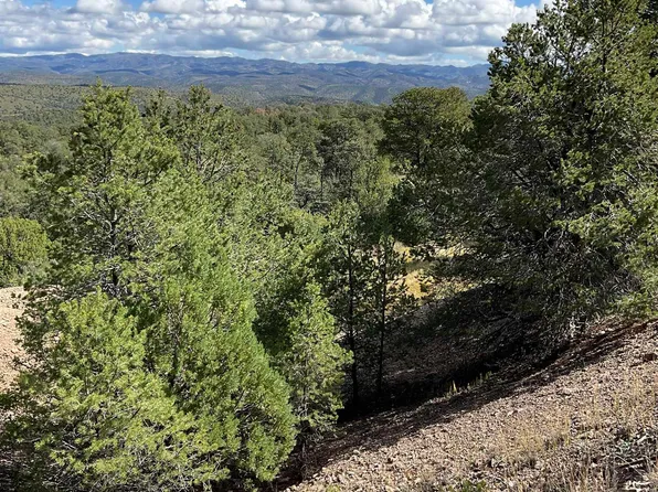 7 Georgetown Rd, Hanover, NM 88041