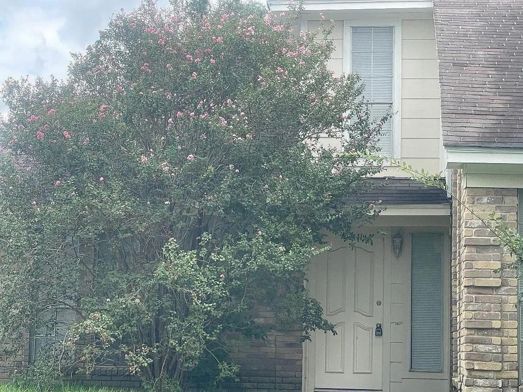 6 bed, 3.5 bath, 2717 sqft, $2,100 — Photo 3