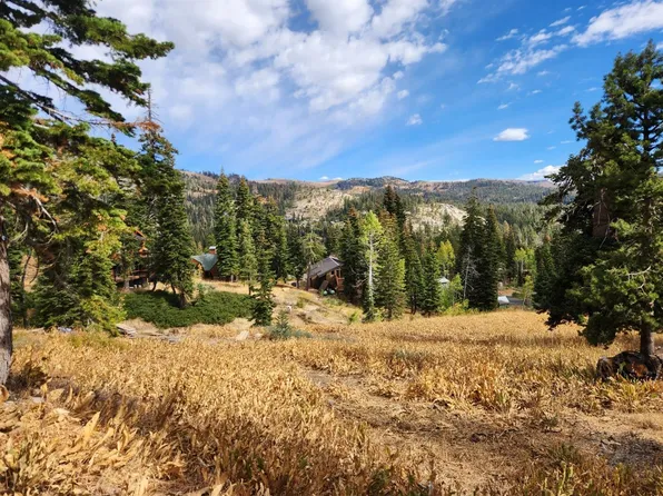 452 Snowshoe Rd, Bear Valley, CA 95223