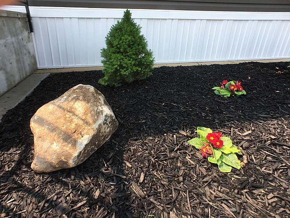 Landscaped
