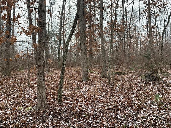2nd image of Whispering Pine Ln