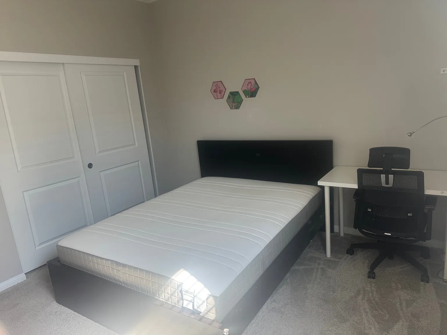1 bed, 2113 sqft, $650 — Photo 3