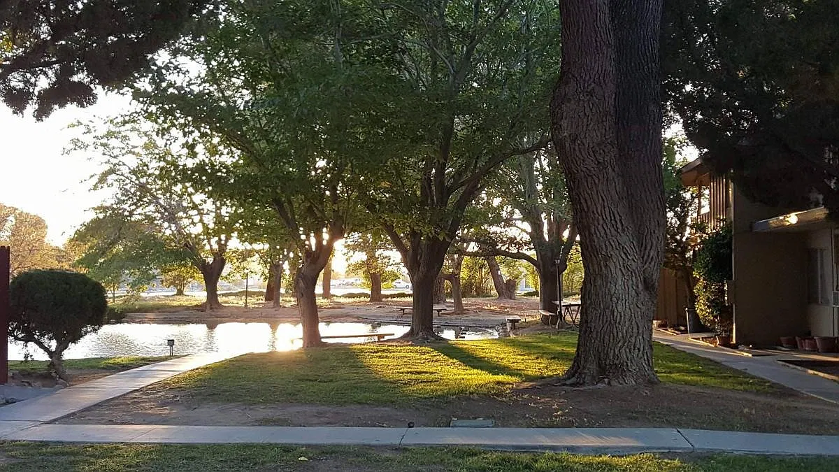 1 bed, 677 sqft, $1,300 — Photo 2