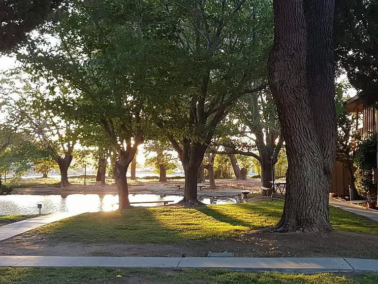 Your view and the grounds of the complex