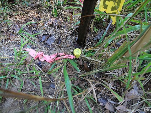15th image of 0 Coldwater Crk #Creek_lot-2