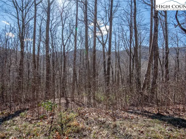 #23 D and D Ridge Road, Todd, NC 28684