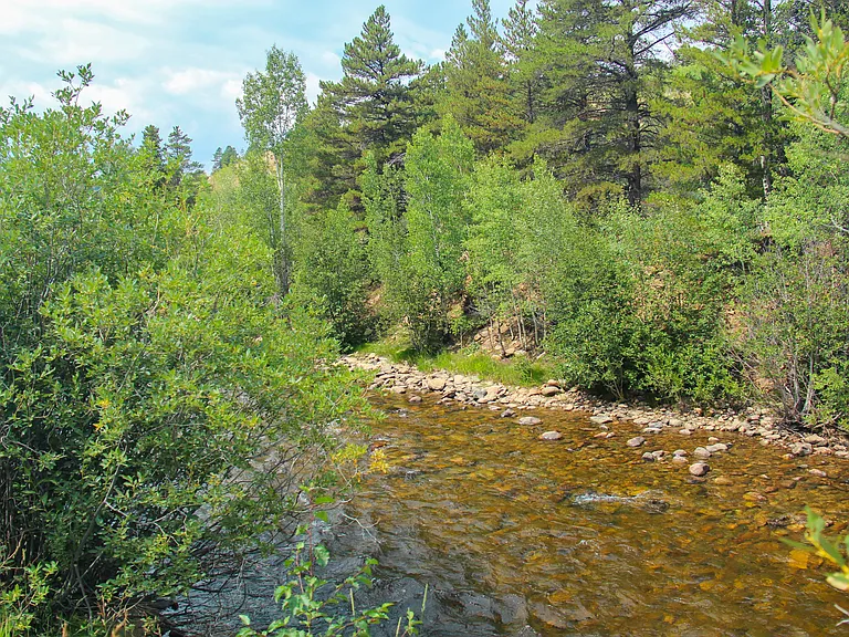 South Boulder Creek abutting the property with world-class fly fishing