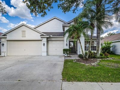 10364 Lightner Bridge Dr, Tampa, FL, 33626