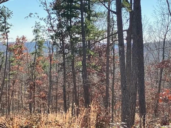 59 Madison St #410, Fredericktown, MO 63645