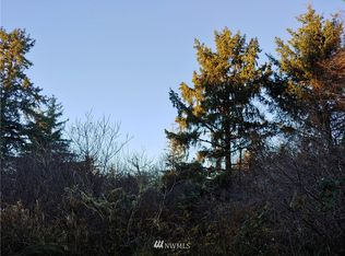 0 102nd St, Long Beach, WA 98631