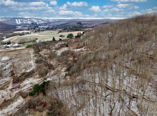 6096 Nys Route 1 Lot 242-5, Ellicottville, NY 14731
