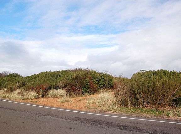 2nd image of 1286 E Ocean Shores Blvd SW