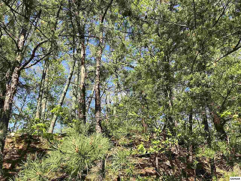 1st image of 12 Maple Ln Lot 12