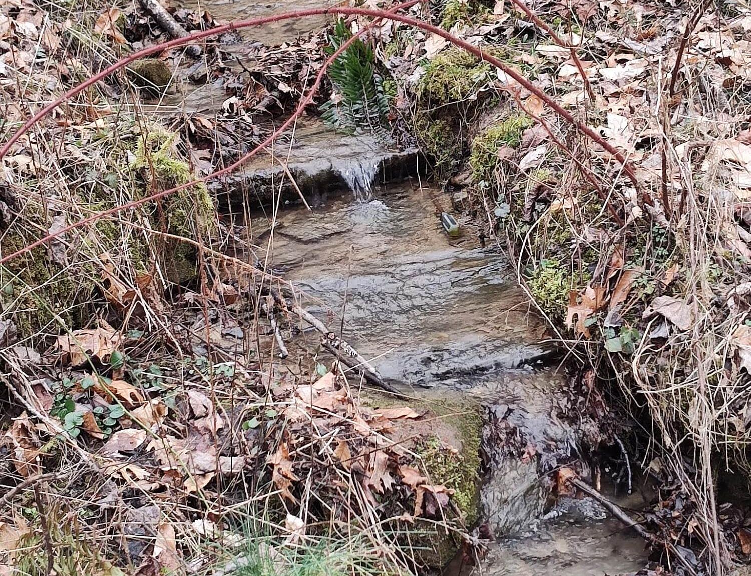 Tbd Hickory Cove Rd, Surgoinsville, TN 37873 MLS 9948524 Zillow