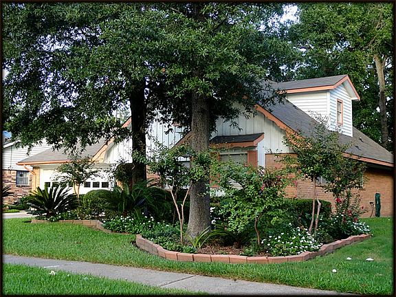 12 Crape Myrtle Trees 8 Palm Trees "Yard of the Month 6 Times"