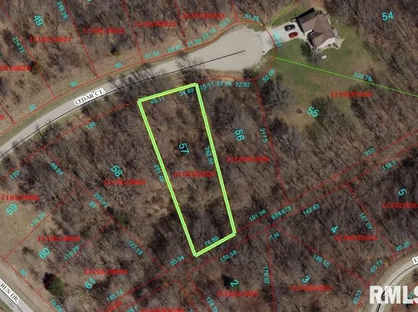 57 Cedar Ct, Dahinda, IL 61428