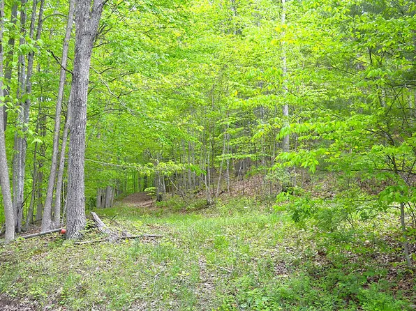 Germany Rd, Renick, WV 24966