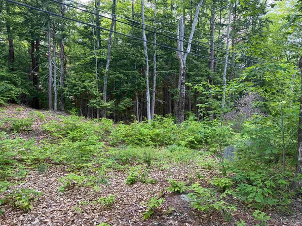 Map 5 Lot 20-4 Black Brook Road, Sanbornton, NH 03269