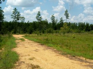 1095 Bilbo Rd, Lumberton, MS 39455