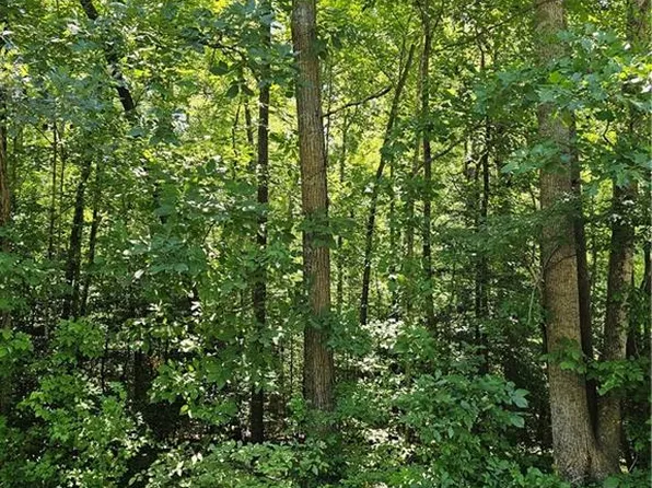 LOT 408 Pine St Lot 408, Lexington, NC 27292