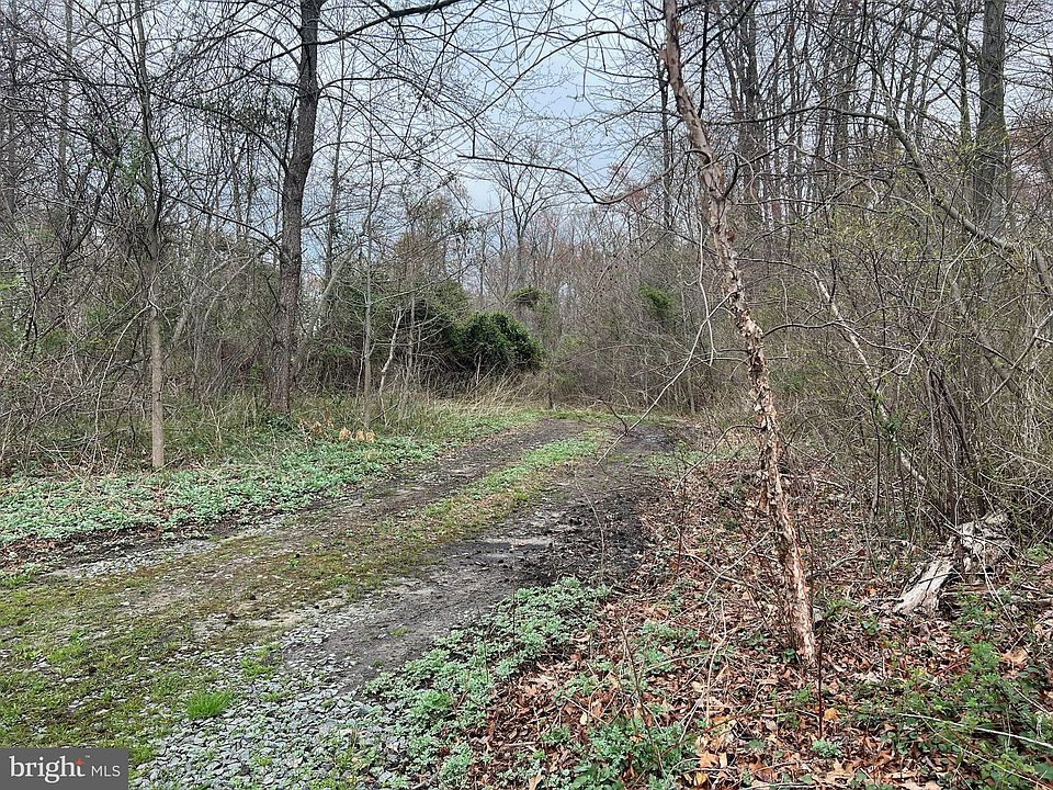 2nd image of 270 Mill Ln W