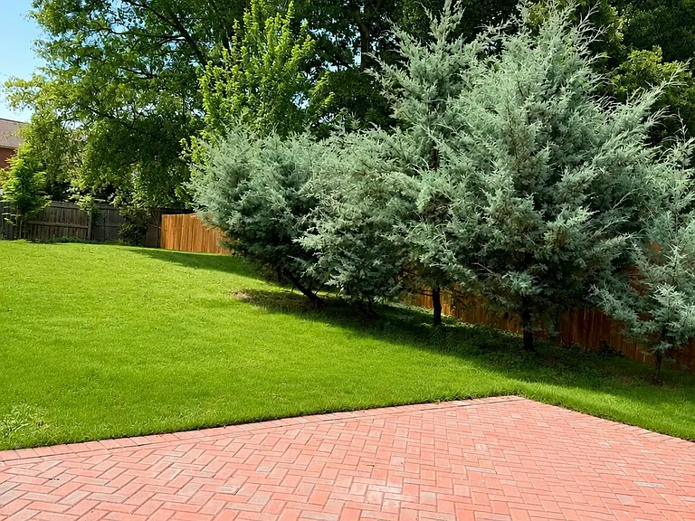 25 Birchstone Ct — Photo 22