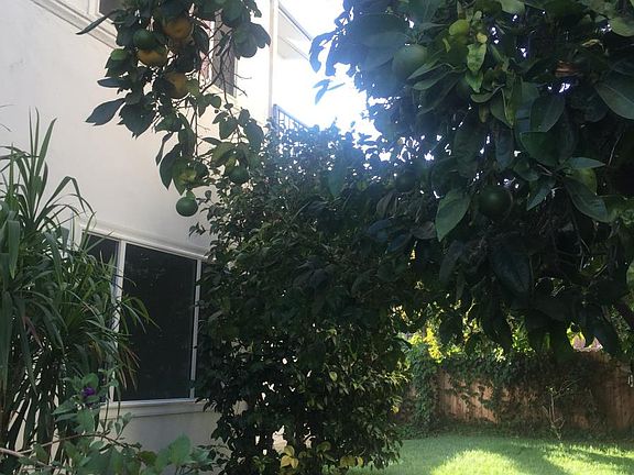 4th image of 10917 Ayres Ave #3