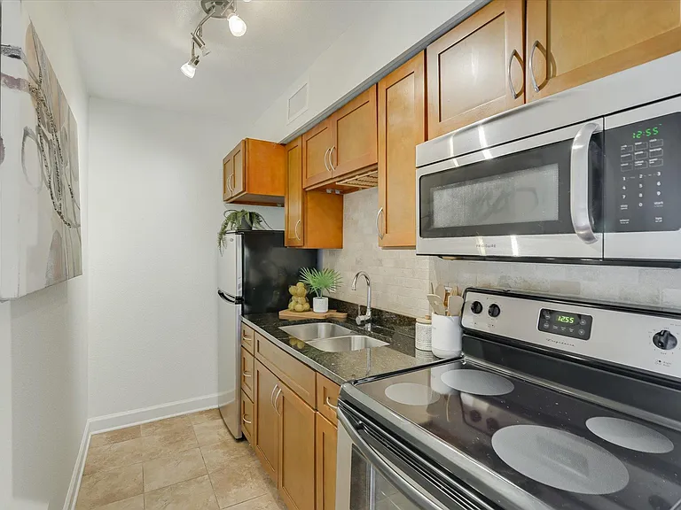 2020 S Congress Ave #1215 — Photo 5