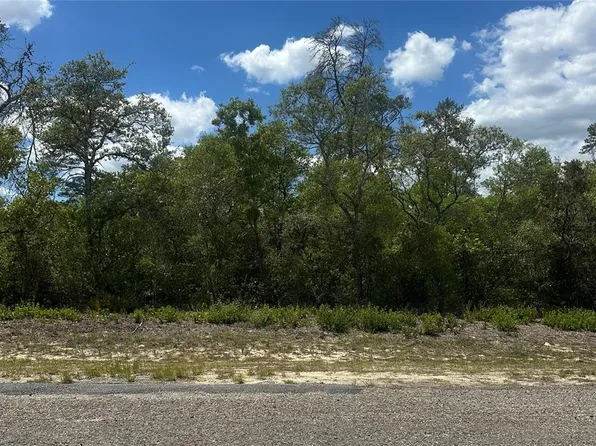 8036 N Wayside Ave Lot 10, Dunnellon, FL 34433